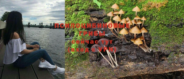 тгк Алексин