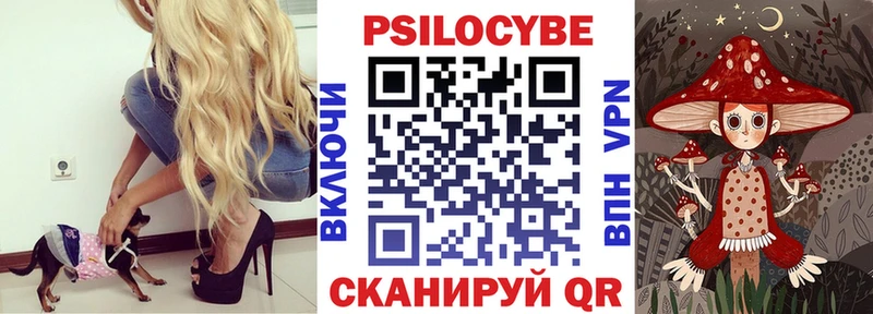 Псилоцибиновые грибы Cubensis  Черноголовка 